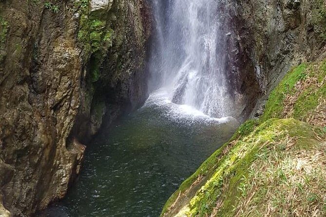 2 Hours Trekking Waterfall Tour in Tobago - Key highlights you’ll actually feel