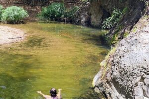 2 Hours Trekking Waterfall Tour in Tobago - The rainforest trek to the waterfall: what 45 minutes up really means
