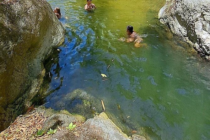 2 Hours Trekking Waterfall Tour in Tobago - The walk back down: why the return is part of the fun