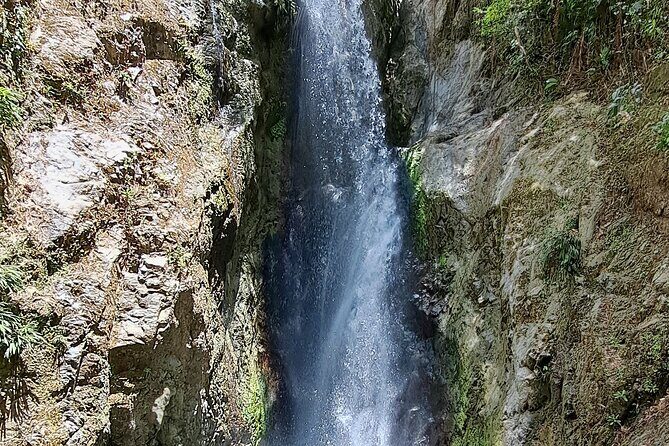 2 Hours Trekking Waterfall Tour in Tobago - Price and value: does $156.93 make sense for 2–3 hours?