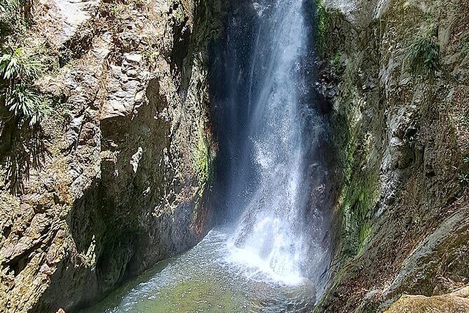 2 Hours Trekking Waterfall Tour in Tobago - Who this tour fits best (and who might prefer something else)