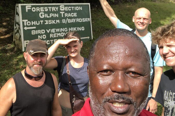 3 Hours Rainforest Walk in Tobago (Private) Lunch + Hummingbirds - Hummingbirds at lunch: close, guided, and surprisingly real