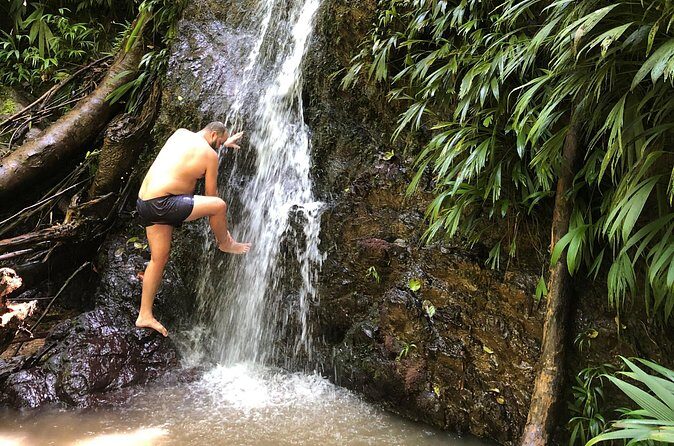 3 Hours Rainforest Walk in Tobago (Private) Lunch + Hummingbirds - Weather rules and how to handle a rain-dependent outing