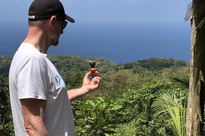 3 Hours Rainforest Walk in Tobago (Private) Lunch + Hummingbirds - Pickup, boots, and the 9am to 4pm rhythm