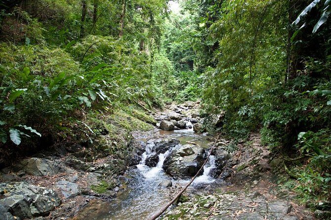 Argyle Waterfall with Adventure Farm - Adventure Farm in Arnos Vale: hummingbird spotting made practical