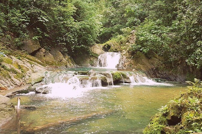 Aripo Waterfall Adventure - What the tour actually includes (and what it doesn’t)