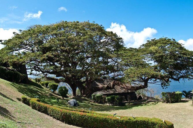 Around the Island - Tobago, in one day: the “around the island” rhythm that actually feels doable
