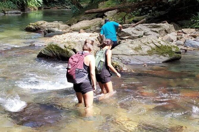 Avocat Waterfall and Beach Tour - Key Highlights You Should Actually Care About