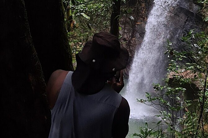Avocat Waterfall Tour & Beach Stop Adventure - A North Coast day that pairs jungle time with real beach time