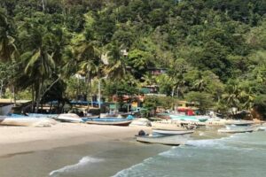 Avocat Waterfall Tour & Beach Stop Package - Price and value: what $129 buys in real-world terms