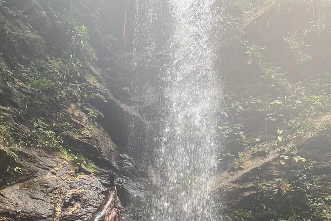 Avocat Waterfall Tour & Beach Stop Package - Should you book Avocat Waterfall & Maracas Beach?