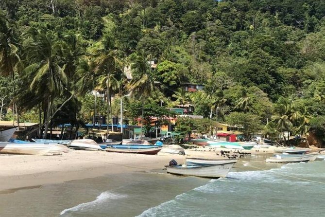 Avocat Waterfall Tour & Beach Stop Package - Price and value: what $129 buys in real-world terms