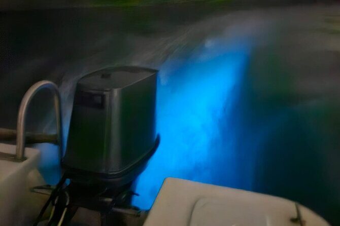 Bioluminescence Tour - Hosting you’ll actually feel: Captain Brandon and Captain Phillip