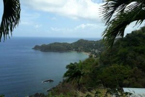 Birdwatching, Waterfall, Rainforest and Island Nature Tours - The Tobago Forest reserve walk: how Michael finds birds fast
