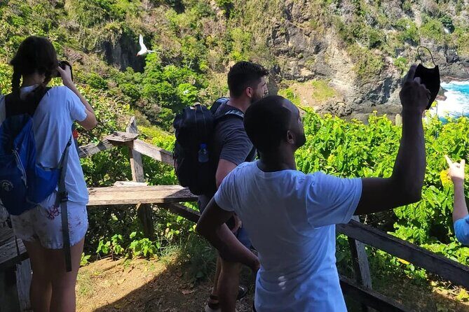 Birdwatching, Waterfall, Rainforest and Island Nature Tours - Argyle Waterfalls: the $10 admission you should budget
