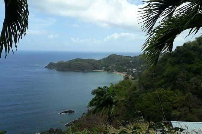 Birdwatching, Waterfall, Rainforest and Island Nature Tours - The Tobago Forest reserve walk: how Michael finds birds fast