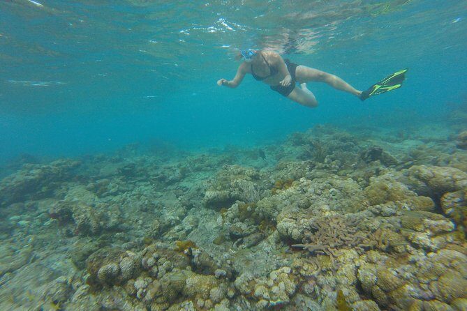 Buccoo Reef and Nylon Pool Adventure - Boat Type and Comfort: What to Expect on the Water
