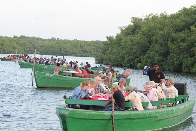 Caroni Bird Sanctuary Tour - What to pack for a mangrove afternoon (and why it matters)
