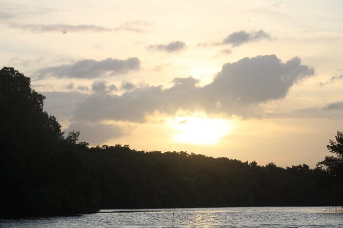 Caroni Bird Sanctuary Tour - Price and value: is $75 per person fair?