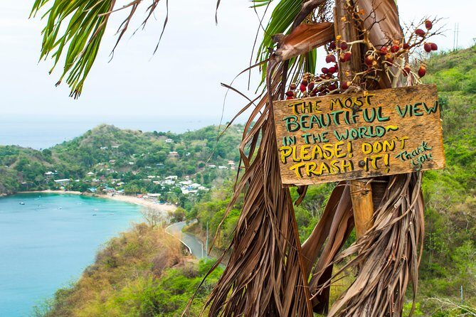 Castara Bay Day Trip with Lunch - How to Make the Most of a Single-Beach Day