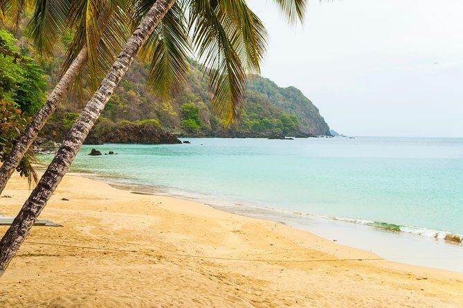 Castara Bay Day Trip with Lunch - Should You Book Castara Bay With Lunch?
