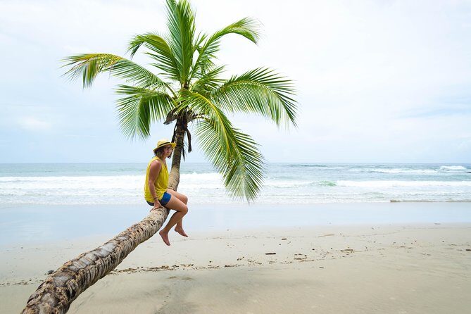 Coastal Tour of Trinidad - Key takeaways before you head north
