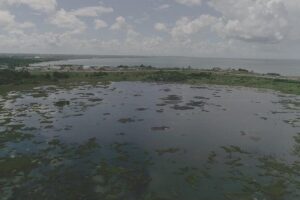 Down South Tour of Trinidad - La Brea Pitch Lake: Asphalt, Medicinal Pools, and a Very Unusual Place