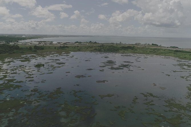 Down South Tour of Trinidad - La Brea Pitch Lake: Asphalt, Medicinal Pools, and a Very Unusual Place