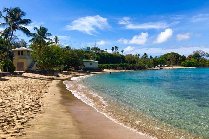Englishman's Bay Day Trip with Lunch - Why Englishman’s Bay is such a strong half-day choice
