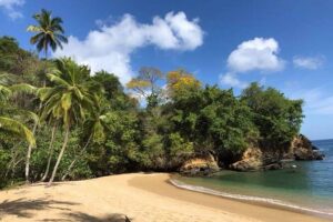 Englishman's Bay Day Trip with Lunch - Pickup, private transport, and the small-group feel
