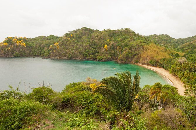 Englishman's Bay Day Trip with Lunch - How many beach stops you’ll actually get