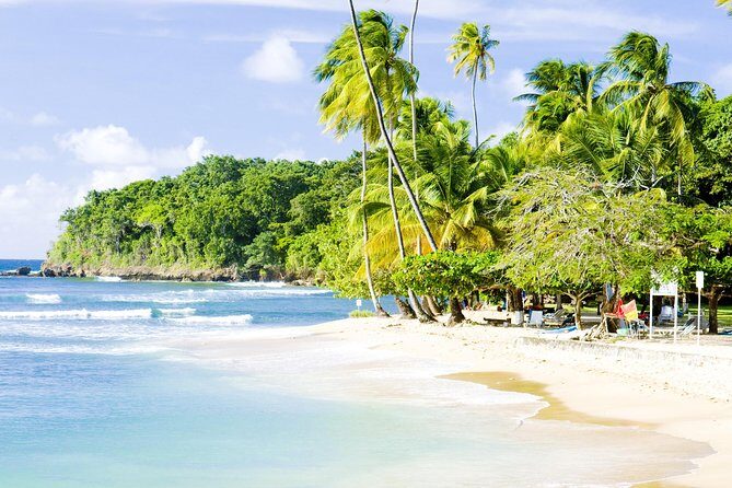 Englishman's Bay Day Trip with Lunch - Snorkeling and swimming: what’s included and what you should bring