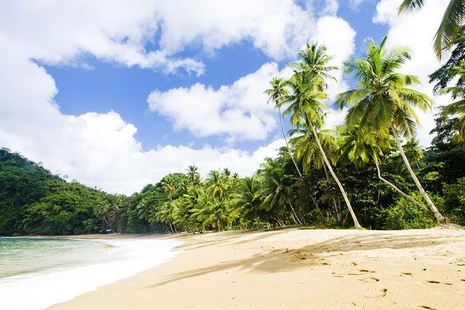 Englishman's Bay Day Trip with Lunch - The Caribbean-style lunch that keeps the day from stalling