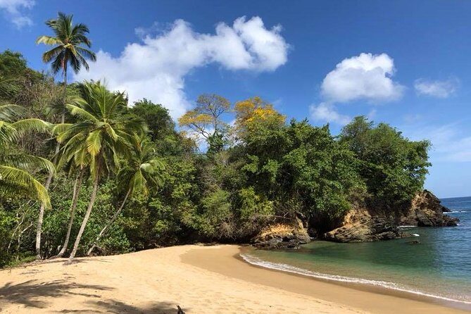 Englishman's Bay Day Trip with Lunch - Pickup, private transport, and the small-group feel