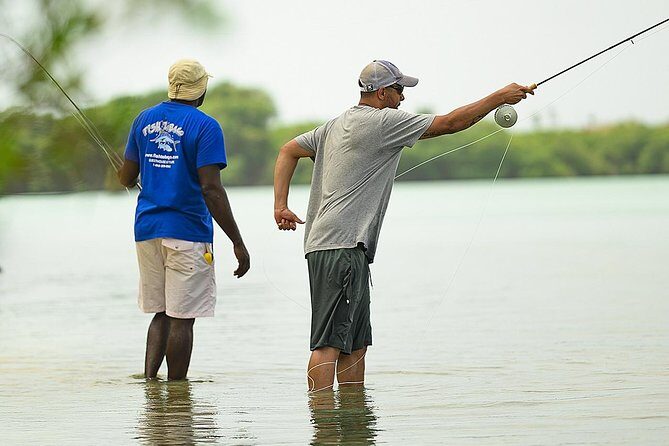 Fly Fishing Tour - Your 3.5 Hours: Fishing Windows That Fit Real Days