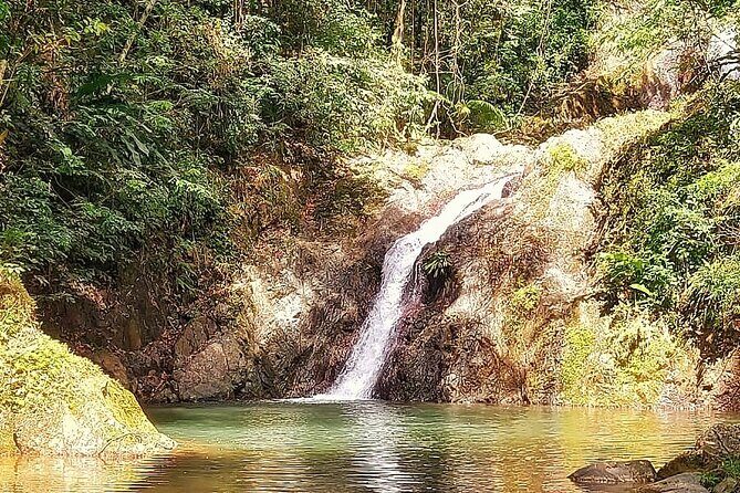 Full Day Group Tour in Tobago Atlantic Coast - Price and Logistics: Is $180 Worth It?