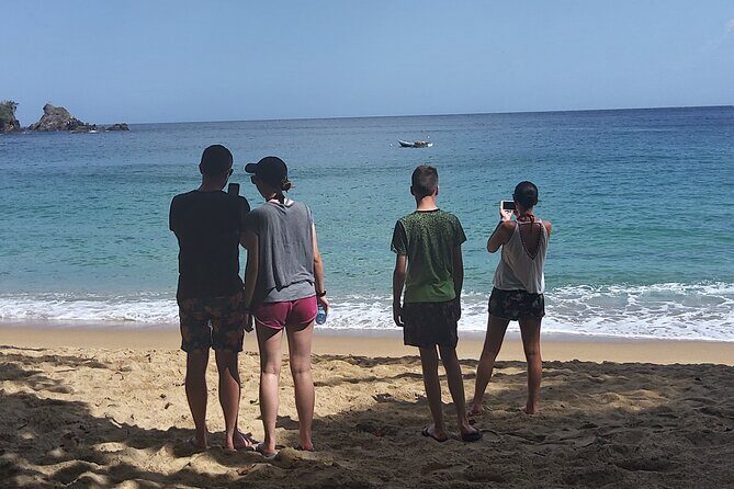 Full Day Tour in Tobago Island with Lunch - Beach Time on Both Coasts: When the Island Lets You Exhale