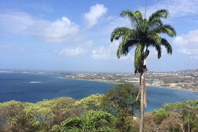 Full Island Tour (Including Lunch & Snorkeling) - Key highlights you’ll actually care about