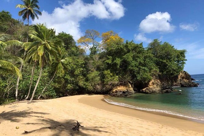 Full Island Tour (Including Lunch & Snorkeling) - Terry’s approach: small group, unhurried pace, real island stories