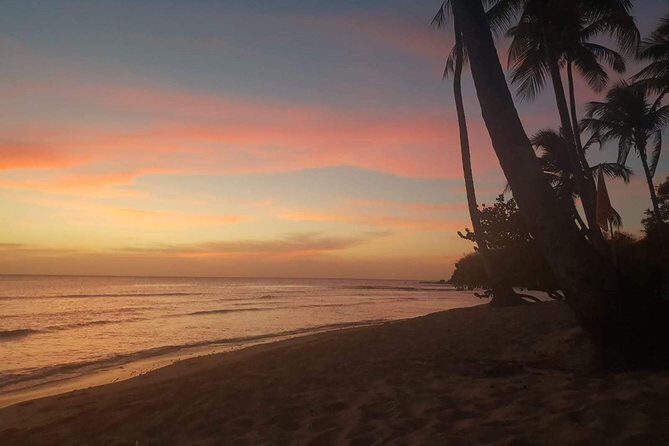 Full Island Tour (Including Lunch & Snorkeling) - Charlotteville: where the day starts feeling like vacation
