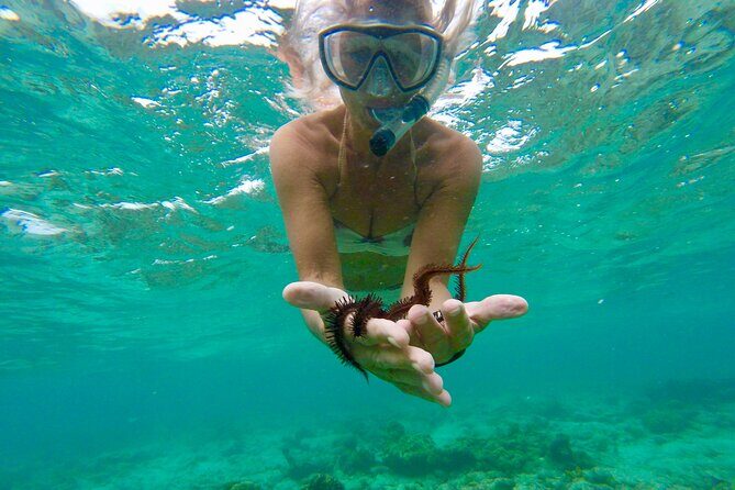 Glass Bottom Nylon Pool Tour in Buccoo Reef - Stop 2: Nylon Pool, the shallow-water star of the tour
