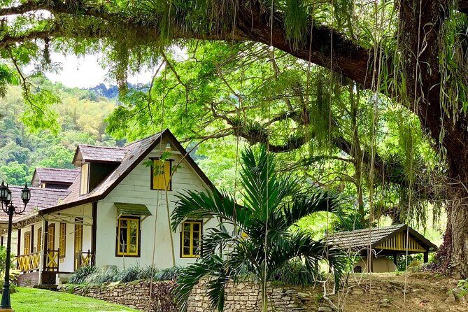 Half-day 3-Course Cocoa Lunch Tour in Trinidad - The half-day timeline: 10:30 start, mountain drives, then lunch