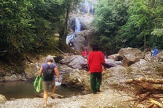 Half Day Group Tour to Tobago Atlantic Coast - Price and value: what $100 buys you in real terms