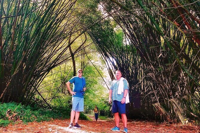 Half Day Group Tour to Tobago Atlantic Coast - What I’d pack for a Tobago Atlantic coast day