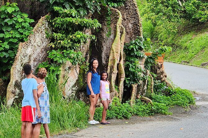 Half Day Tobago Tours with Transfers - Key Highlights You’ll Actually Care About
