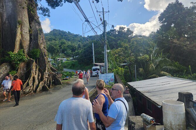 Half Day Tobago Tours with Transfers - Half-Day Tobago With Private Pickup From Scarborough Ferry Terminal