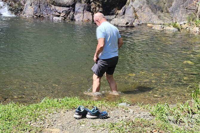 Half Day Tobago Tours with Transfers - Mt Dillion And Castara Bay: Aerial Views Plus Beach Walk Reality