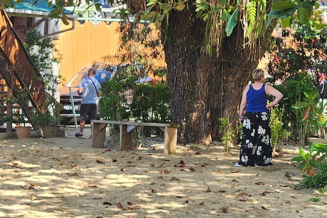 Half Day Tobago Tours with Transfers - Moriah’s Silk Cotton Tree: Photos, Folklore, And A Great First Stop