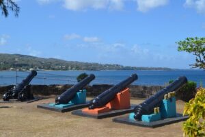 Highlights of Tobago Tour - Scarborough Botanical Garden: A short stroll that resets your pace