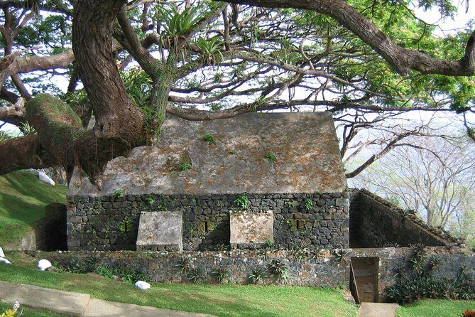 Highlights of Tobago Tour - The rhythm of a 3-hour highlights tour (and how to enjoy it more)